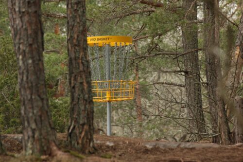 Tips-For-Getting-Started-In-Disc-Golf-e1687034949948.jpg